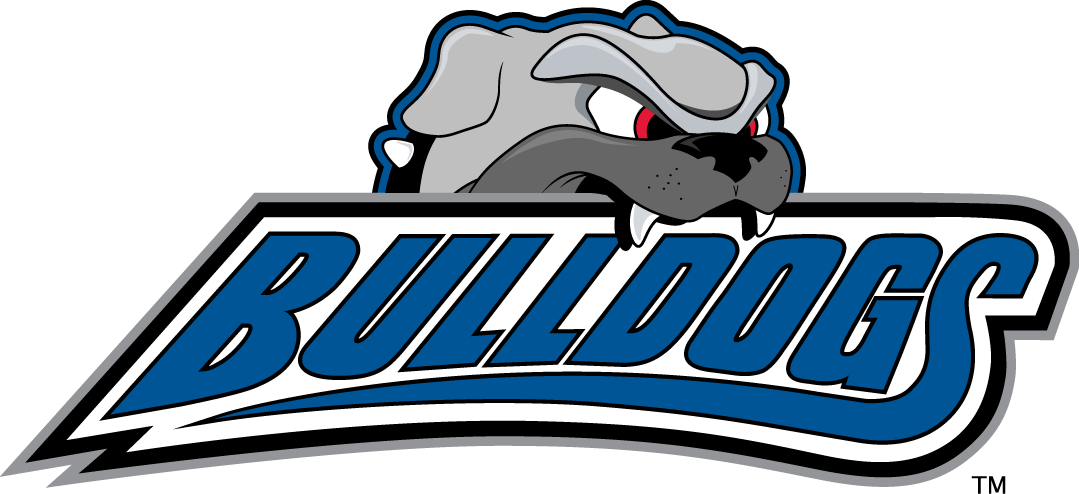 North Carolina Asheville Bulldogs 1998-Pres Alternate Logo v2 DIY iron on transfer (heat transfer)